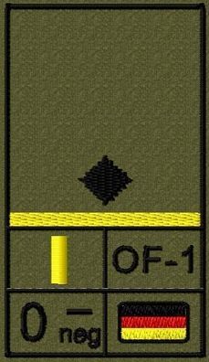 Bundeswehr Rangabzeichen Klett, Zitronengelbe Litze, Blutgruppe, Leutnant