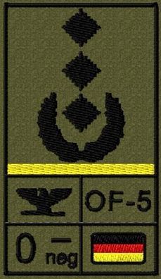 Bundeswehr Rangabzeichen Klett, Zitronengelbe Litze, Blutgruppe, Oberst