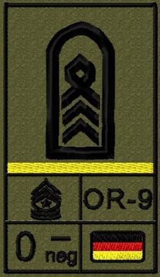Bundeswehr Rangabzeichen Klett, Zitronengelbe Litze, Blutgruppe, Oberstabsfeldwebel