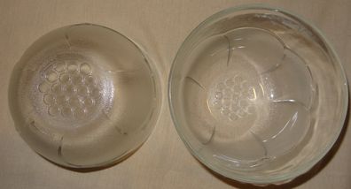 CF France14 Glasschüssel 2x gleiche kleine Schüsseln Blüte in Eisdekor Speiseschüssel