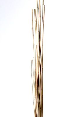 Bambusstäbe Tonkinstäbe 100 Stück Ø 8-10 mm 90 cm Rankhilfe Pflanzstäbe
