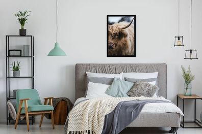 Poster - 40x60 cm - Schottischer Highlander - Tiere - Hoorn (Gr. 40x60 cm)