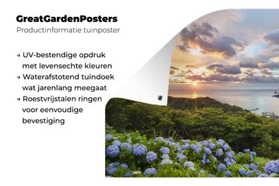 Gartenposter - 180x120 cm - Meerblick und Hortensien (Gr. 180x120 cm)