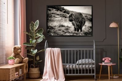 Poster - 120x80 cm - Schottischer Highlander - Kühe - Schwarz - Weiß (Gr. 120x80 cm)