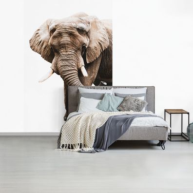 Fototapete - 170x260 cm - Elefant - Weiß - Tiere (Gr. 170x260 cm)