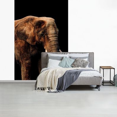 Fototapete - 170x260 cm - Elefant - Schwarz - Terrakotta (Gr. 170x260 cm)