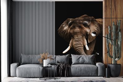 Fototapete - 170x260 cm - Elefant - Schwarz - Tiere (Gr. 170x260 cm)