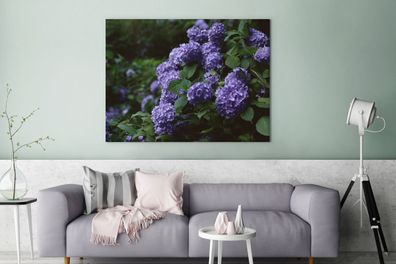Leinwandbilder - 120x90 cm - Dunkelheit um Hortensien in einem Garten (Gr. 120x90 cm)
