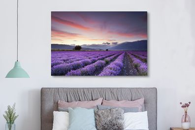 Leinwandbilder - 150x100 cm - Sonnenuntergang über Lavendel (Gr. 150x100 cm)