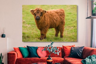 Leinwandbilder - 150x100 cm - Schottischer Highlander - Leicht - Mantel