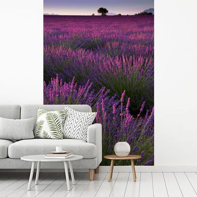 Fototapete - 170x260 cm - Die Lavendelregion im französischen Mutterland