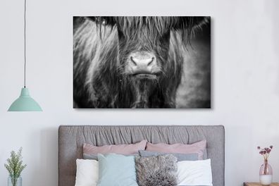 Leinwandbilder - 150x100 cm - Schottischer Highlander - Kuh - Schwarz - Weiß