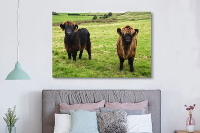 Leinwandbilder - 150x100 cm - Schottische Highlander - Gras - Kühe (Gr. 150x100 cm)