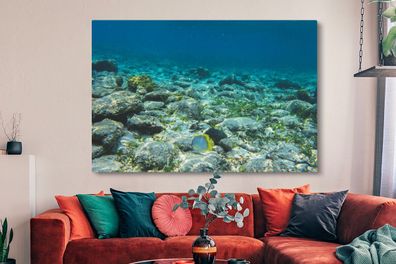 Leinwandbilder - 150x100 cm - Das Riff des Glover's Reef in Belize (Gr. 150x100 cm)