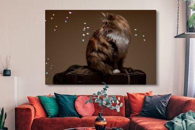 Leinwandbilder - 150x100 cm - Braune Maine Coon Katze sitzt auf einer alten Schachtel