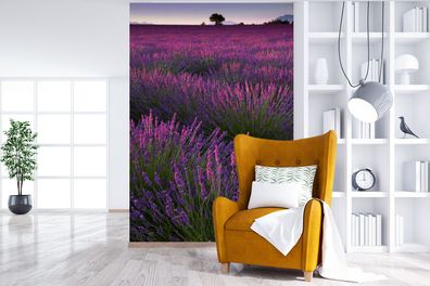 Fototapete - 170x260 cm - Lila Lavendelblüten auf einem Feld (Gr. 170x260 cm)