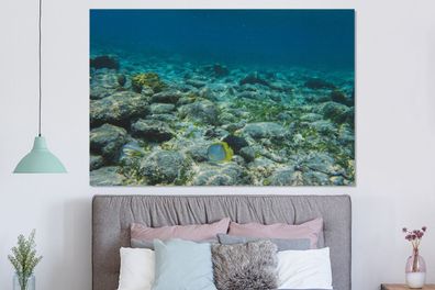 Glasbilder - 150x100 cm - Das Riff des Glover's Reef in Belize (Gr. 150x100 cm)