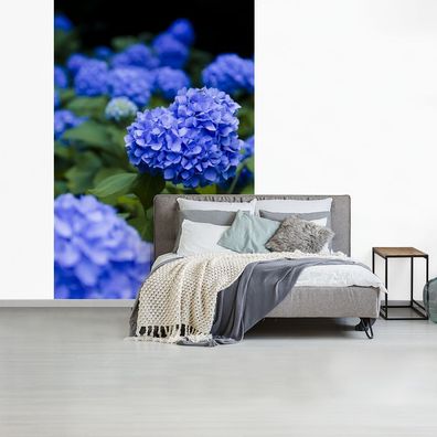 Fototapete - 170x260 cm - Nahaufnahme blaue Hortensienblüten (Gr. 170x260 cm)