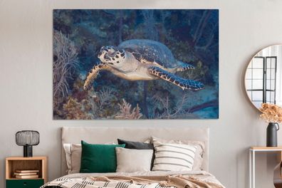 Leinwandbilder - 150x100 cm - Schildkröte schwimmt über einem tropischen Korallenriff