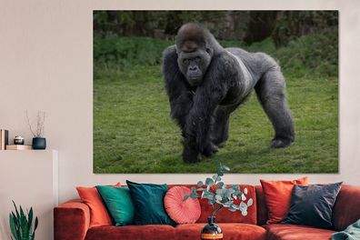 Glasbilder - 150x100 cm - Ein Gorilla geht auf seinen Händen und Beinen