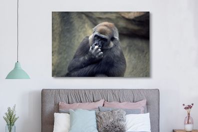 Leinwandbilder - 150x100 cm - Niedlicher Gorilla kratzt sich an der Nase