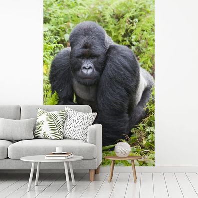 Fototapete - 170x260 cm - Ein Gorilla spaziert durch die grünen Blätter
