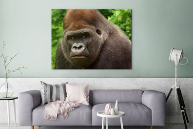Leinwandbilder - 120x90 cm - Nahaufnahme des Gesichts eines männlichen Gorillas