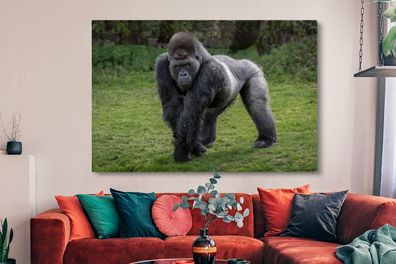 Leinwandbilder - 150x100 cm - Ein Gorilla geht auf seinen Händen und Beinen