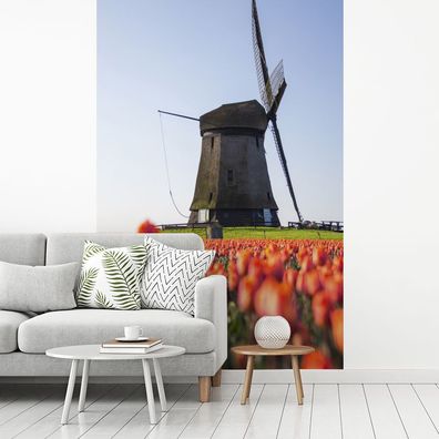 Fototapete - 145x220 cm - Eine Mühle mit Tulpen (Gr. 145x220 cm)