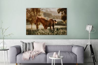 Leinwandbilder - 140x90 cm - Pferd - Licht - Wiese (Gr. 140x90 cm)