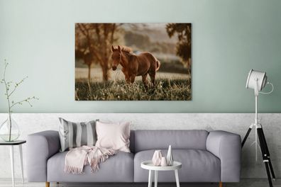 Leinwandbilder - 140x90 cm - Pferd - Licht - Wiese (Gr. 140x90 cm)