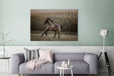 Leinwandbilder - 140x90 cm - Pferd - Sand - Gras (Gr. 140x90 cm)