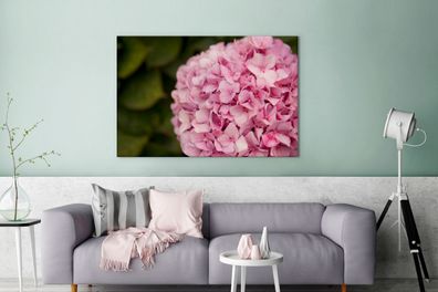 Leinwandbilder - 120x80 cm - Nahaufnahme einer rosa Hortensie (Gr. 120x80 cm)
