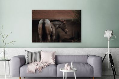 Leinwandbilder - 140x90 cm - Pferd - Bauernhof - Porträt (Gr. 140x90 cm)