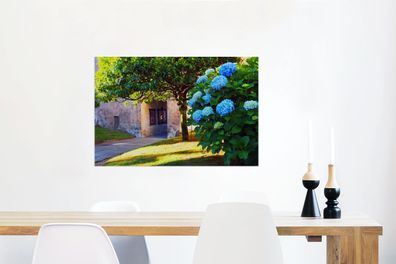 Glasbilder - 90x60 cm - Blaue Hortensien (Gr. 90x60 cm)