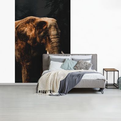 Fototapete - 195x300 cm - Elefant - Schwarz - Farbe (Gr. 195x300 cm)