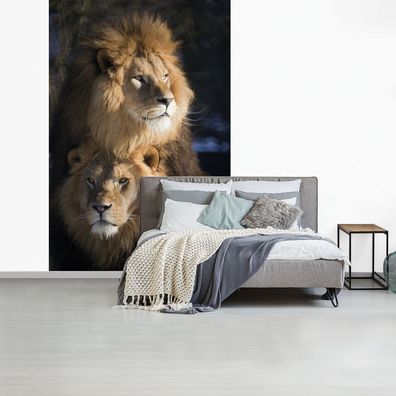 Fototapete - 195x300 cm - Löwen - Jagd - Wilde Tiere (Gr. 195x300 cm)