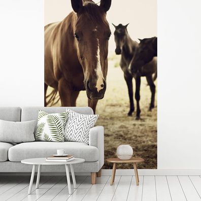Fototapete - 195x300 cm - Pferde Sepia-Fotodruck (Gr. 195x300 cm)