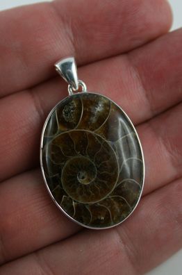 Fossiler Ammonit aus Madagaskar 925 Sterling Silber