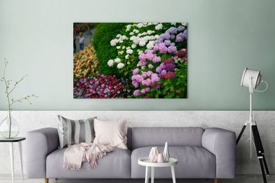 Leinwandbilder - 140x90 cm - Lebendige Hortensienblüten (Gr. 140x90 cm)