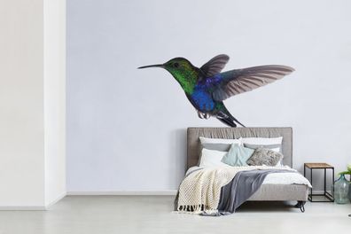 Fototapete - 420x280 cm - Vögel - Kolibri - Grün - Blau (Gr. 420x280 cm)