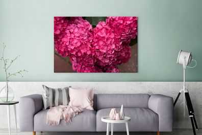 Leinwandbilder - 140x90 cm - Nahaufnahme rosa Hortensienblüten (Gr. 140x90 cm)