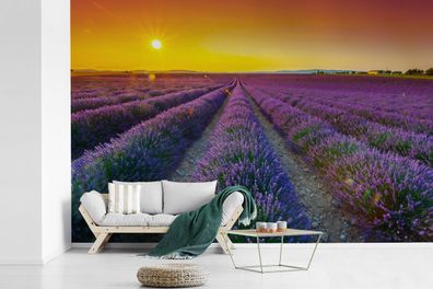 Fototapete - 390x260 cm - Oranger Sonnenuntergang über einem Feld voller Lavendel