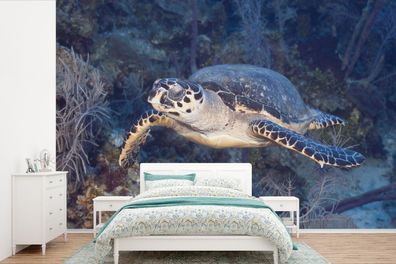 Fototapete - 330x220 cm - Schildkröte schwimmt über einem tropischen Korallenriff im