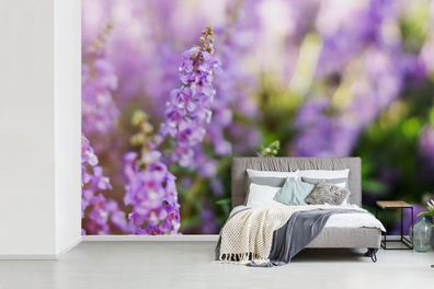 Fototapete - 360x240 cm - Nahaufnahme von ganzem Lavendel in einem Feld