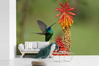Fototapete - 450x300 cm - Vogel - Kolibri - Blumen (Gr. 450x300 cm)