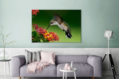 Leinwandbilder - 140x90 cm - Kolibri - Blume - Vogel (Gr. 140x90 cm)