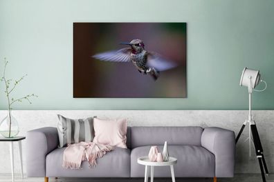 Leinwandbilder - 140x90 cm - Vogel - Federn - Kolibri (Gr. 140x90 cm)