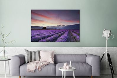Leinwandbilder - 140x90 cm - Sonnenuntergang über Lavendel (Gr. 140x90 cm)