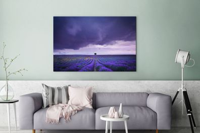 Leinwandbilder - 140x90 cm - Lila Wolken über Lavendelfeldern (Gr. 140x90 cm)